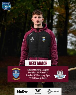 Westmeath v Dublin – Round 3 Hurling League