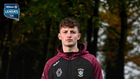 Westmeath v Dublin – Round 3 Hurling League