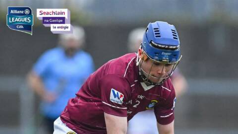 Westmeath v Waterford – Round 6 Hurling League