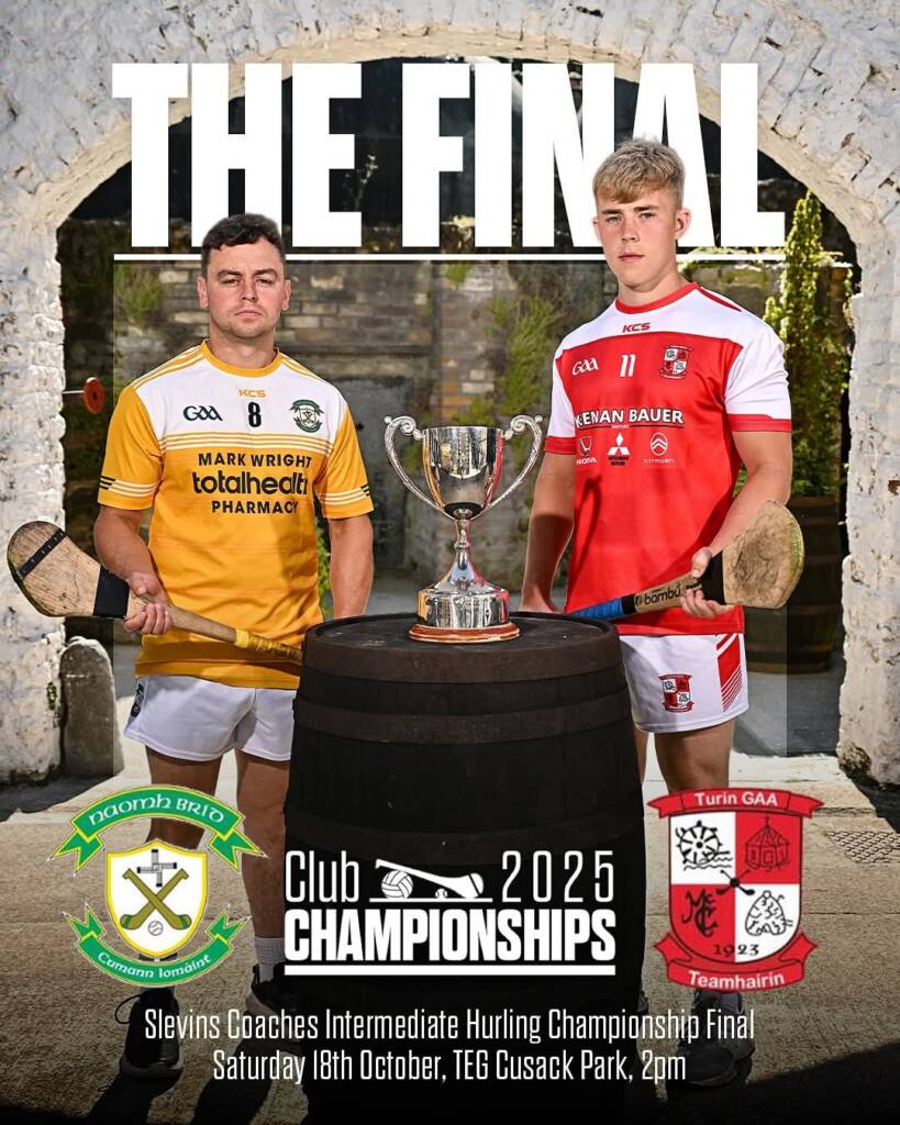 2025 Intermediate Hurling Championship Final