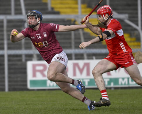 Hurlers secure win over Derry!