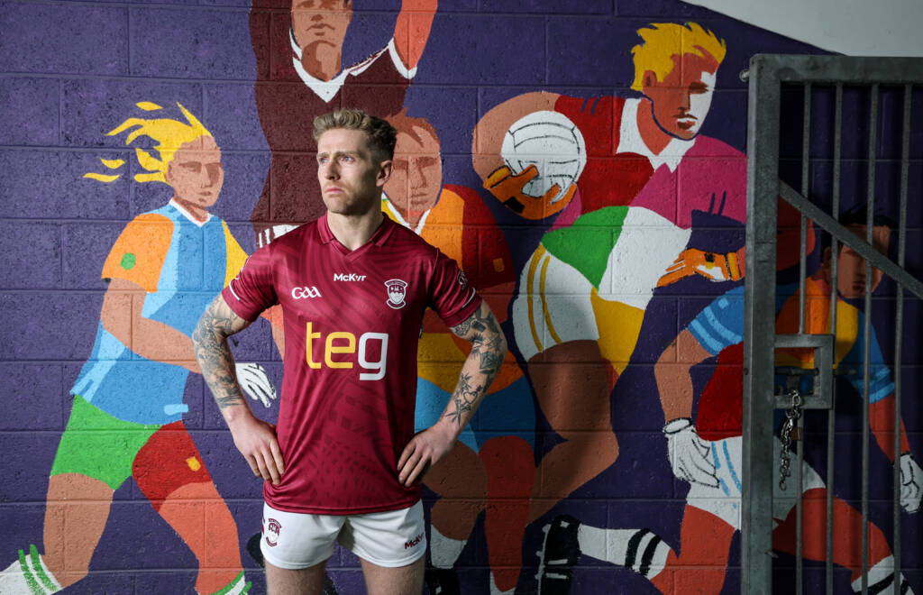 Leinster Semi Final Ticket Link