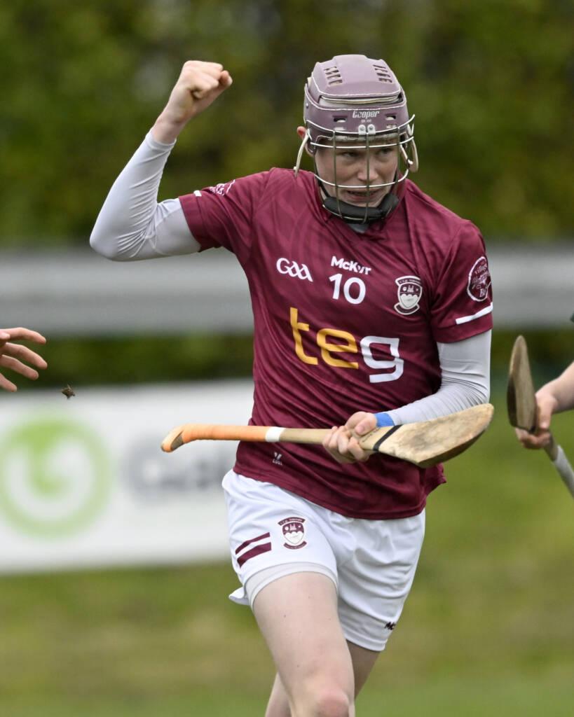 Minor Hurlers begin their year with a fantastic win!