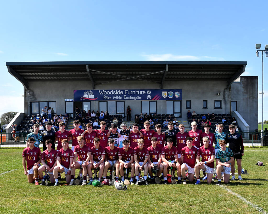 Minor Hurlers overcome Dublin in heroic display!