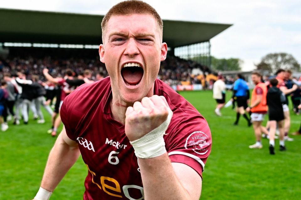 Leinster Final – Here We Come!